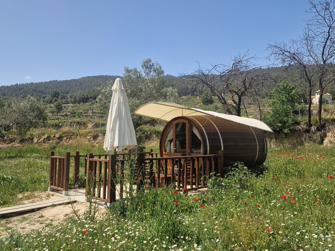 Finca Seguro Bodega S.L.主图