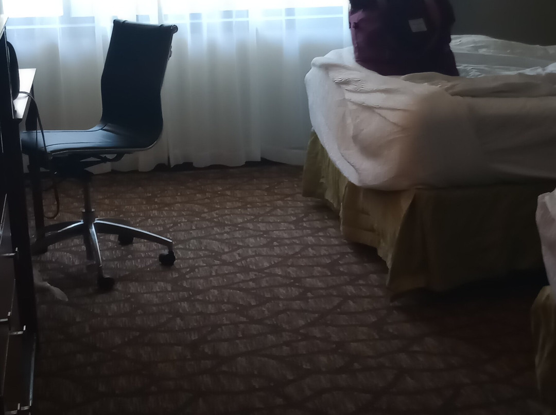 Best Western Hospitality Hotel & Suites主图