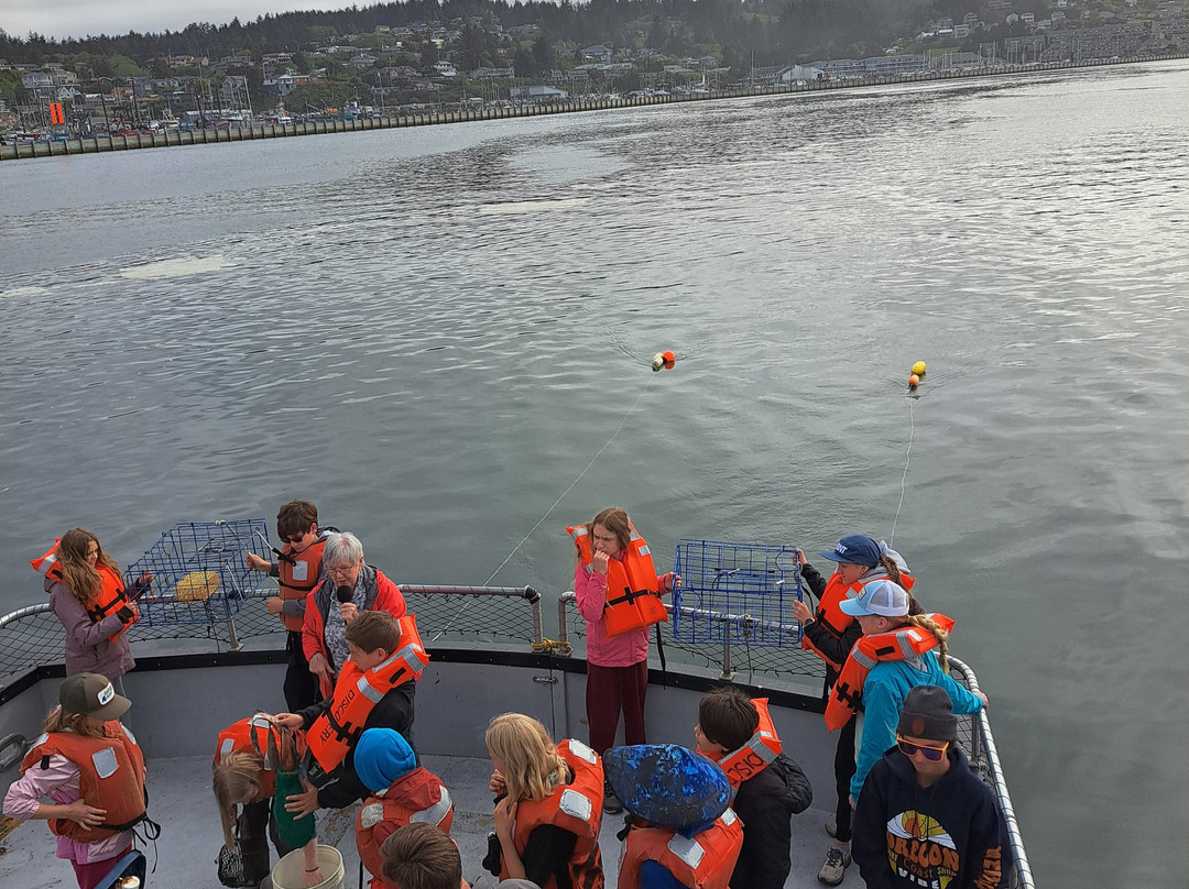Marine Discovery Tours-纽波特必去景点
