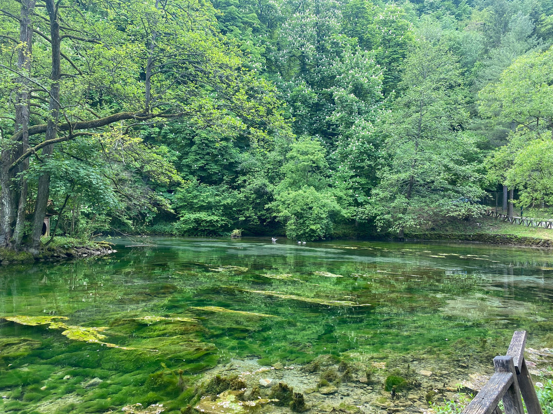 Holiday Bosnia景点图片
