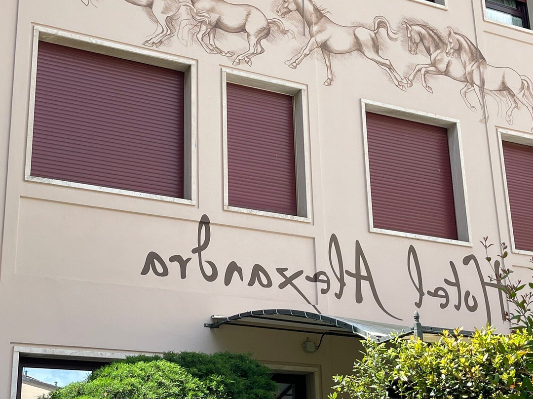 Hotel Alexandra主图