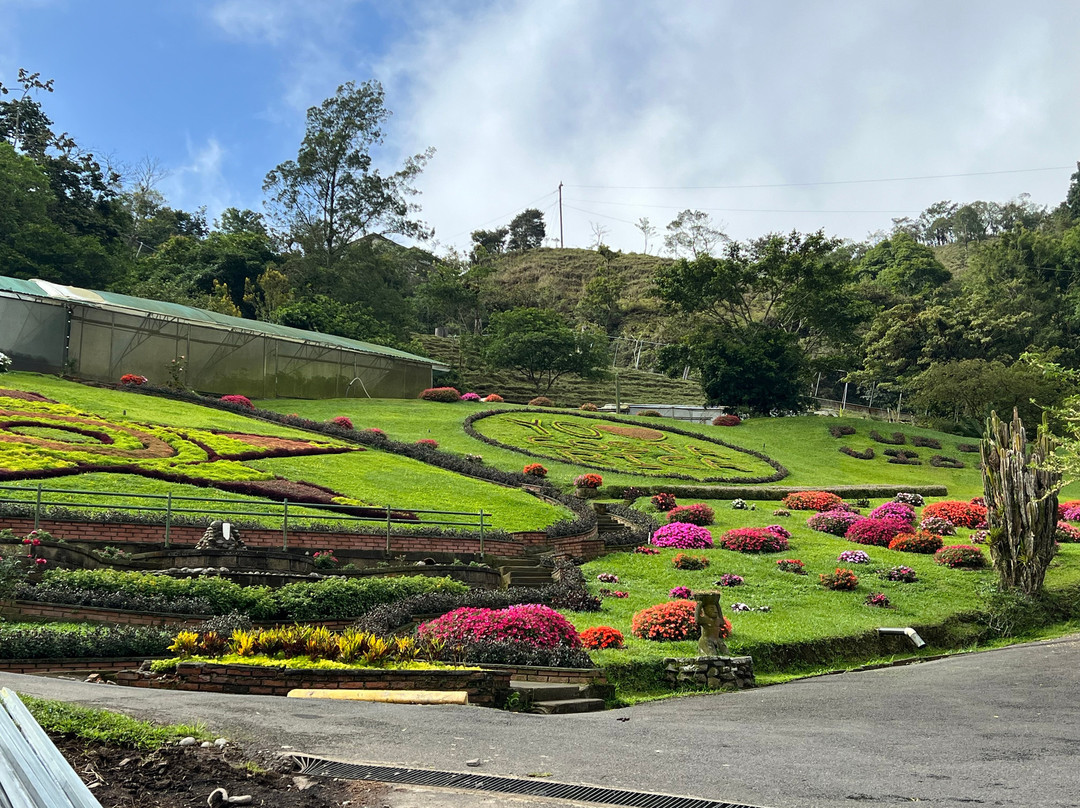 Arenas Travel Costa Rica-埃斯卡松必去景点