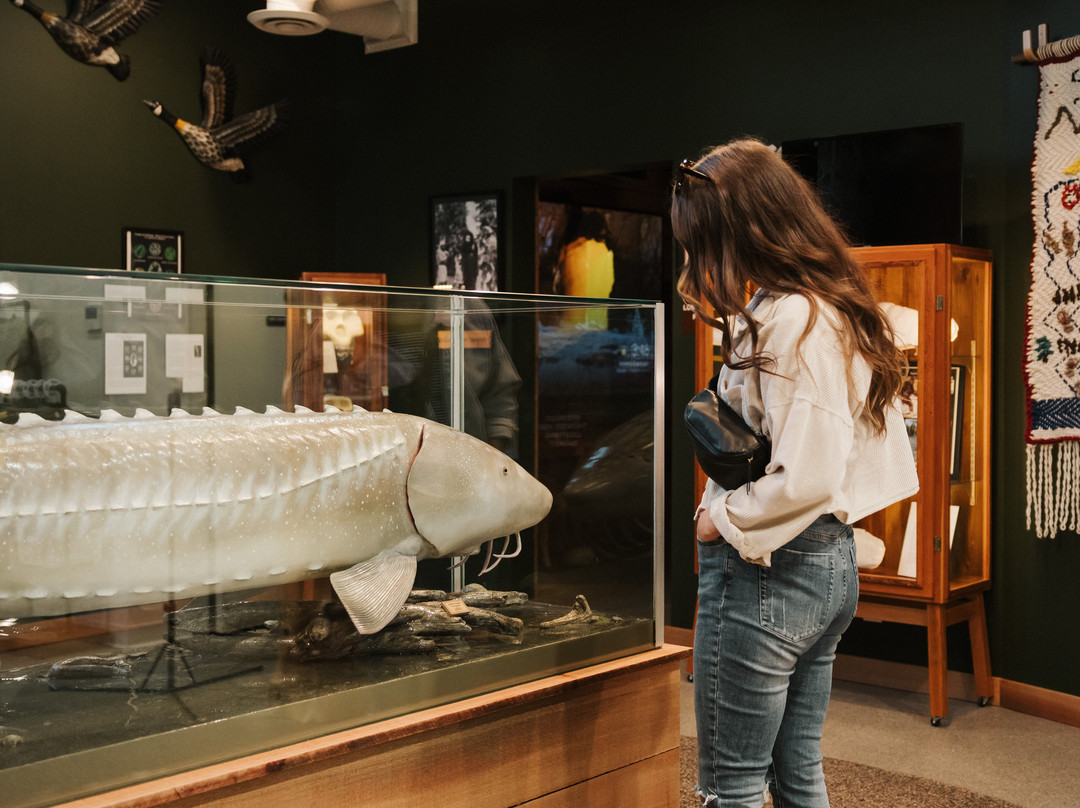 Harrison Visitor Information Centre & Sasquatch Museum-哈里逊温泉必去景点