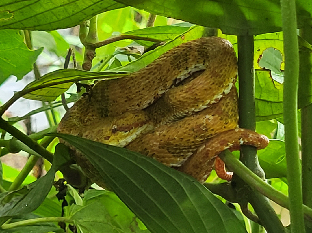 Guanadriver CR. Tours and Transfers in Costa Rica-利比里亚必去景点