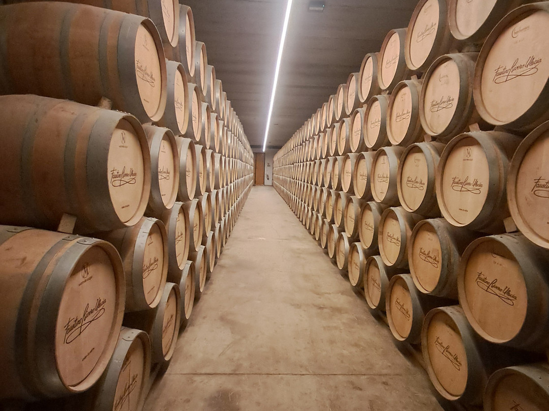 Bodegas Faustino Rivero Ulecia-Arnedo必去景点