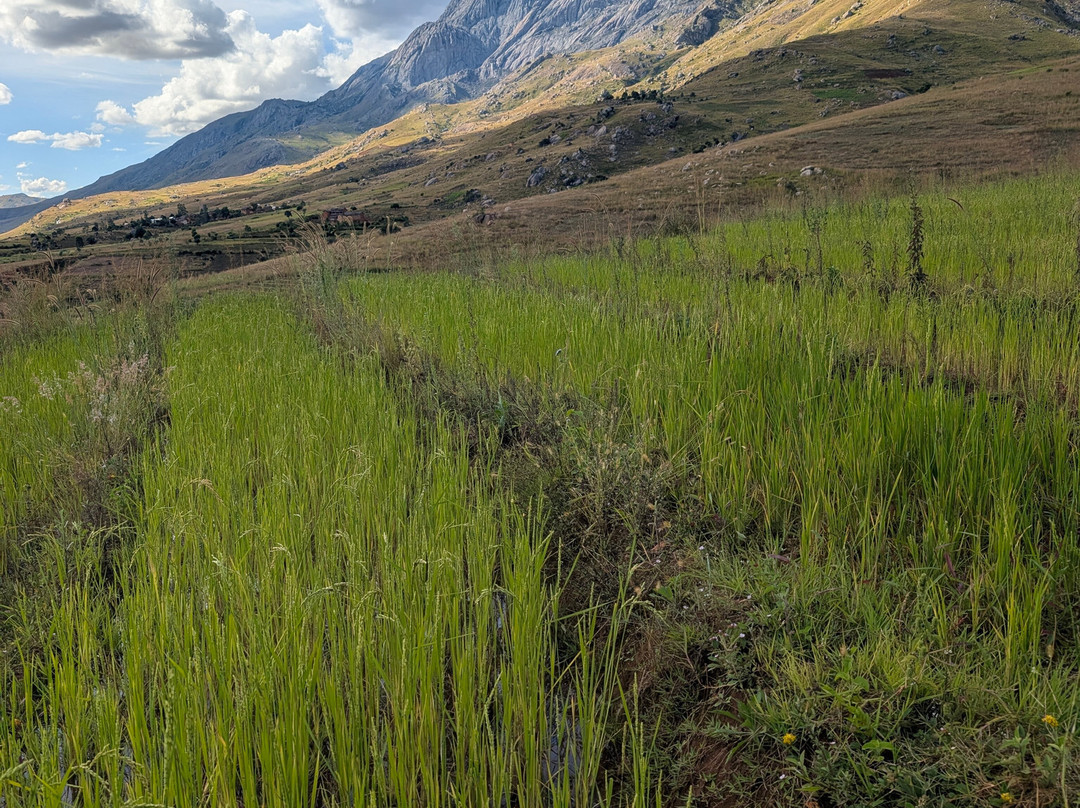 Parc National de l'Andringitra景点图片