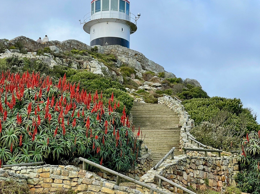 Old Cape Point Lighthouse-Cape Point必去景点