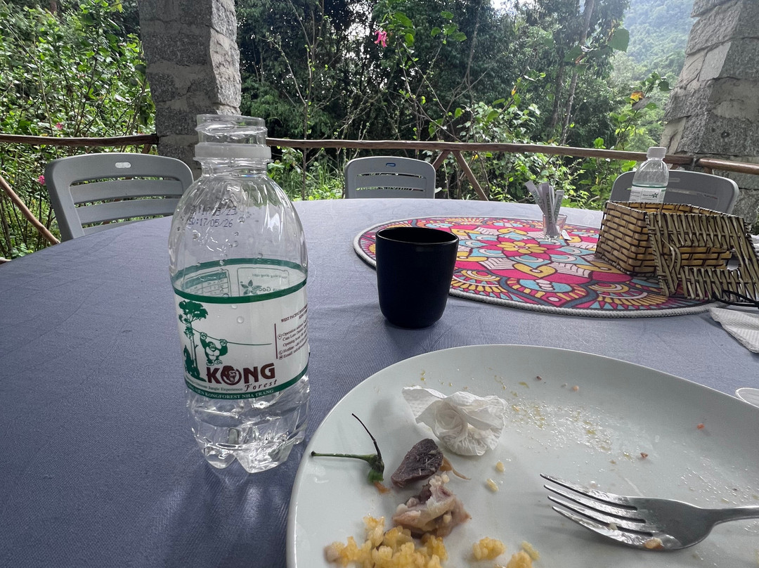 Kong Forest-Suoi Cat必去景点