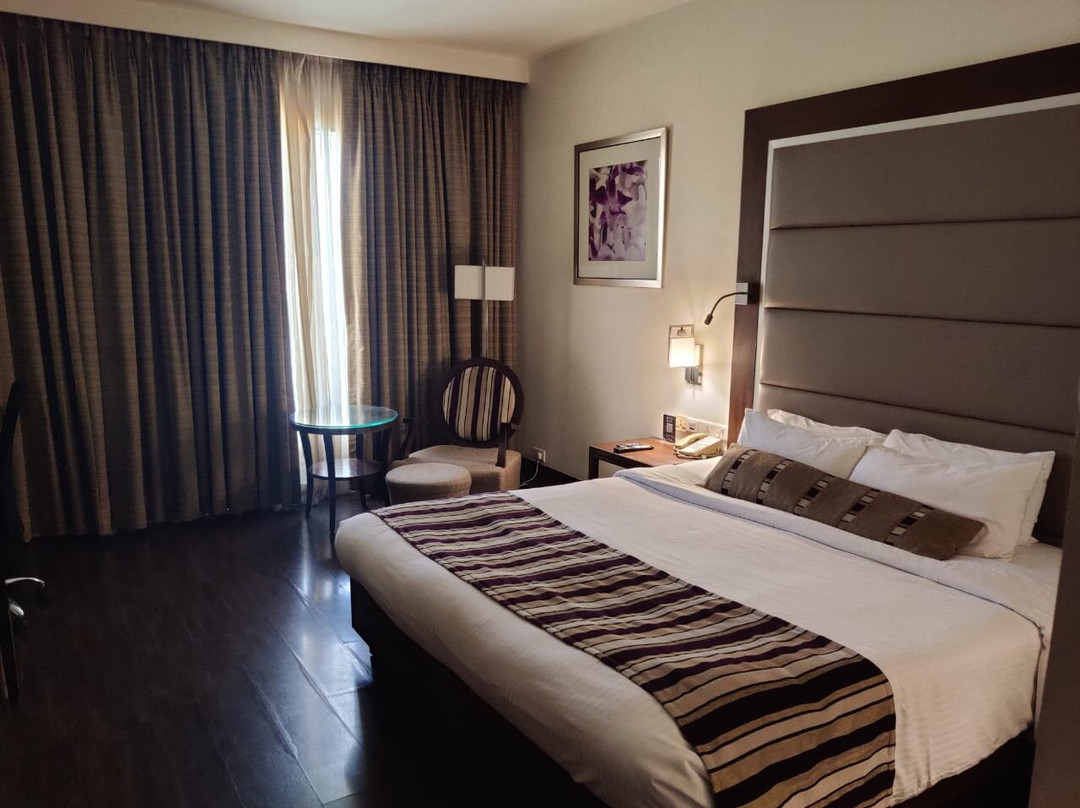 浦那皇家奥奇德中心酒店主图