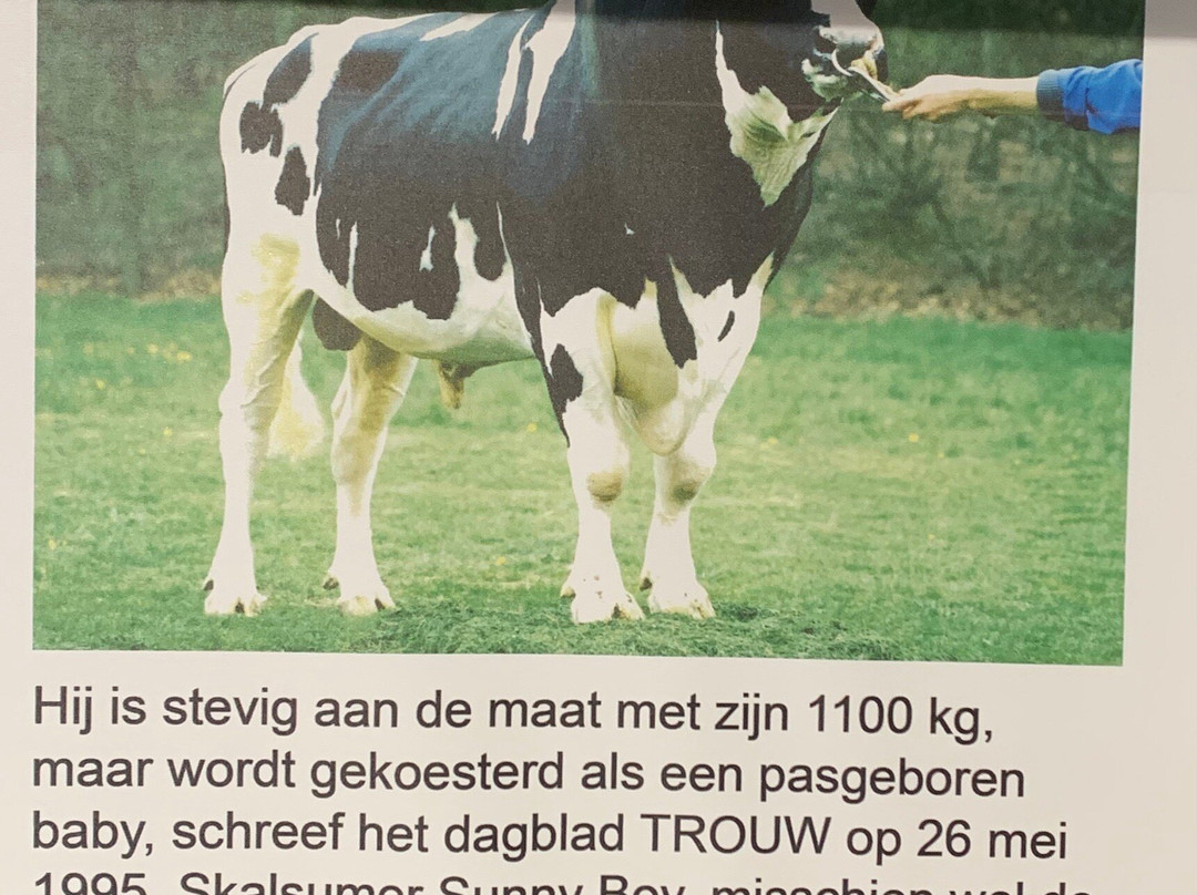 Cultuurhistorisch Museum Texel-De Waal必去景点