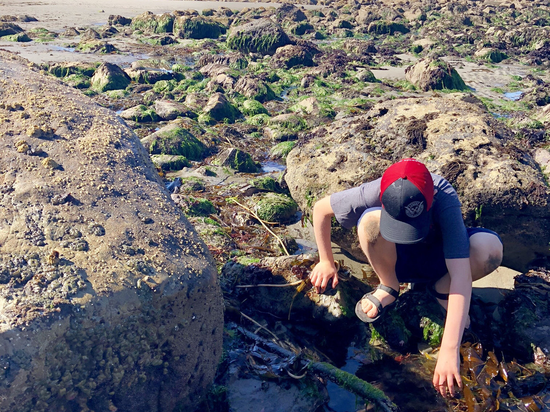 Second Beach Trail-奥林匹克国家公园必去景点