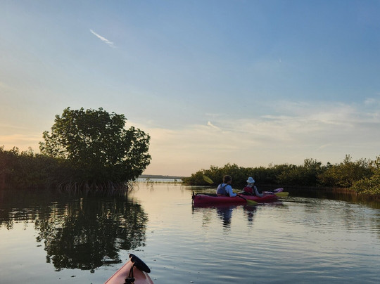 Ripple Effect Ecotours-圣奥古斯丁必去景点