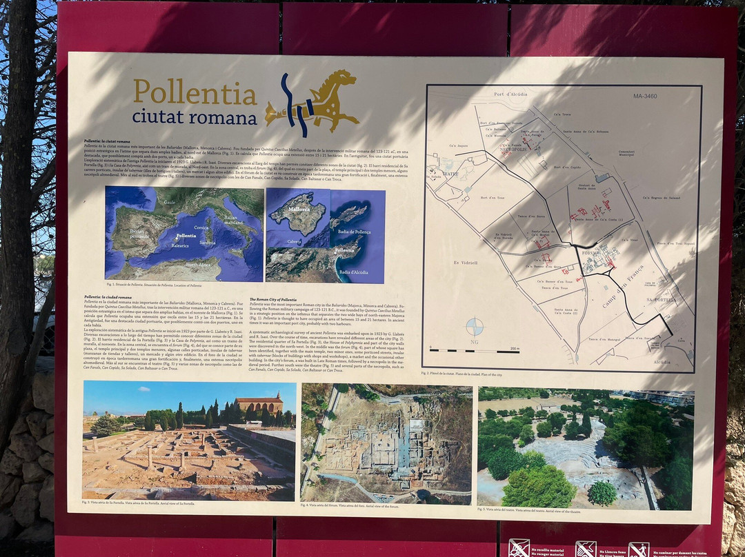 Museu Monogràfic de Pollèntia景点图片
