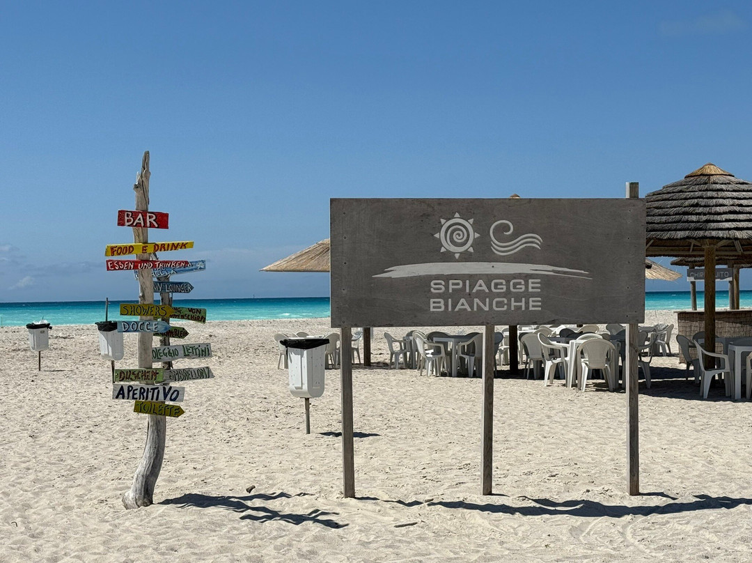 Spiagge Bianche景点图片