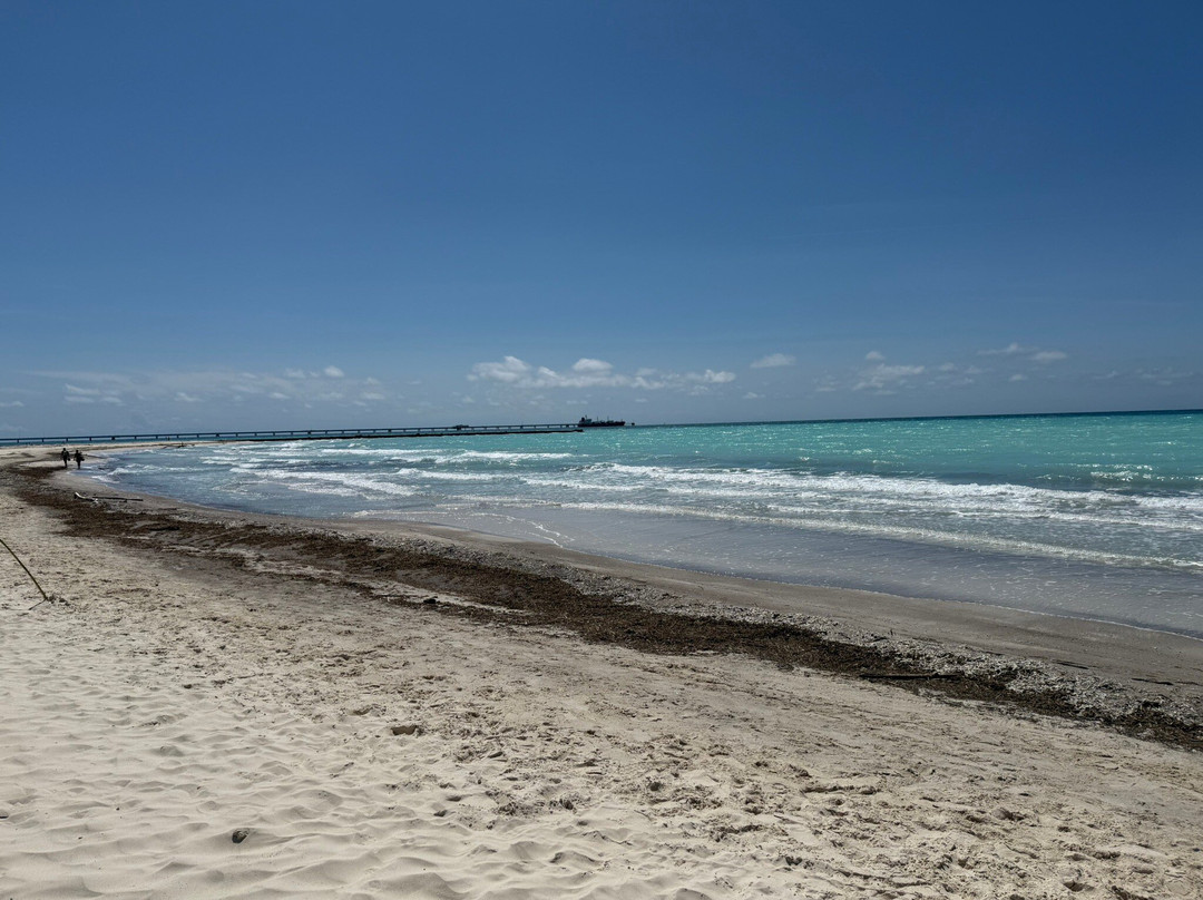 Spiagge Bianche景点图片