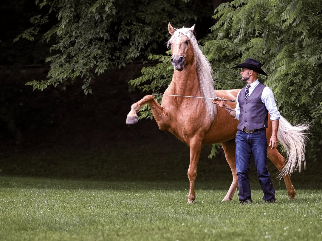 Double Dan Horsemanship-Midway必去景点