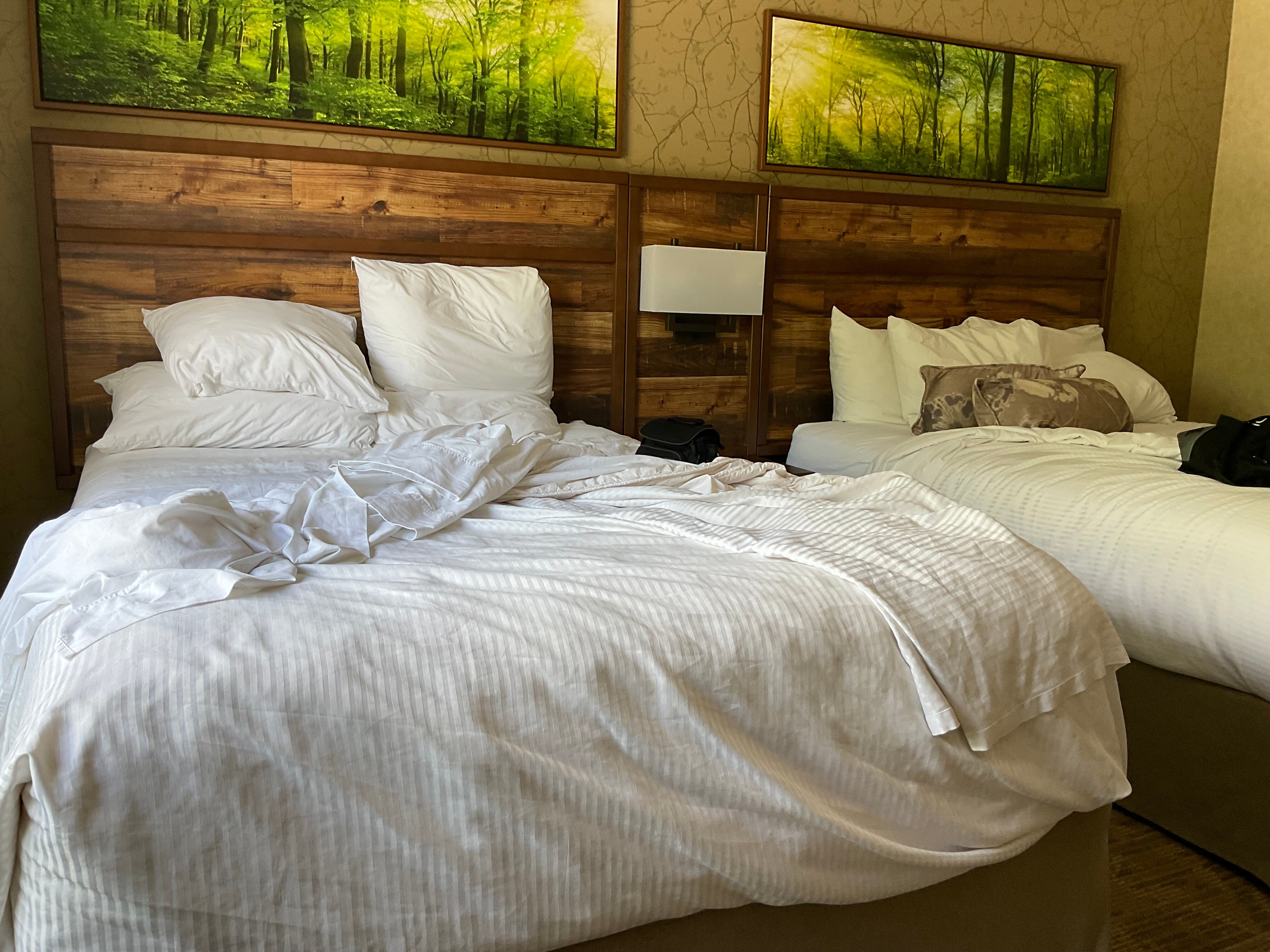 Holiday Inn Express & Suites Chilliwack East By IHG-客卧