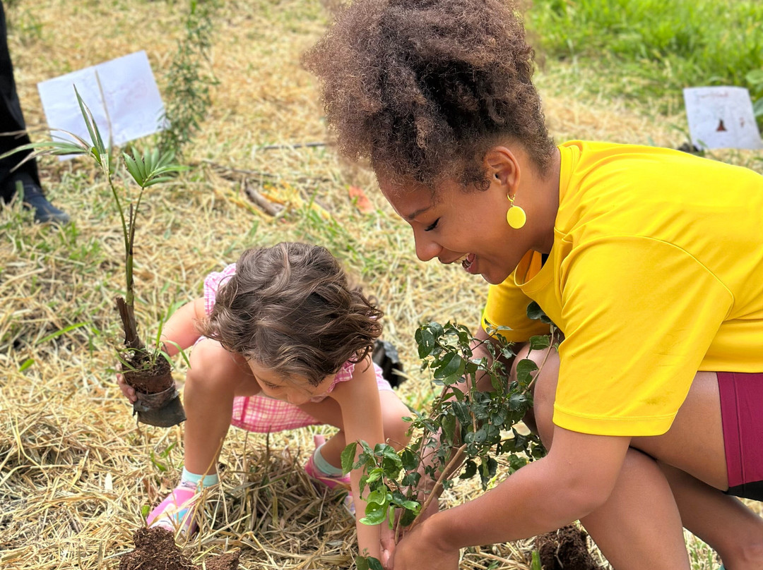 Fazenda Capoava主图