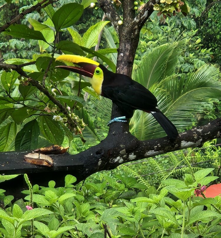 Costa Rica Experts景点图片