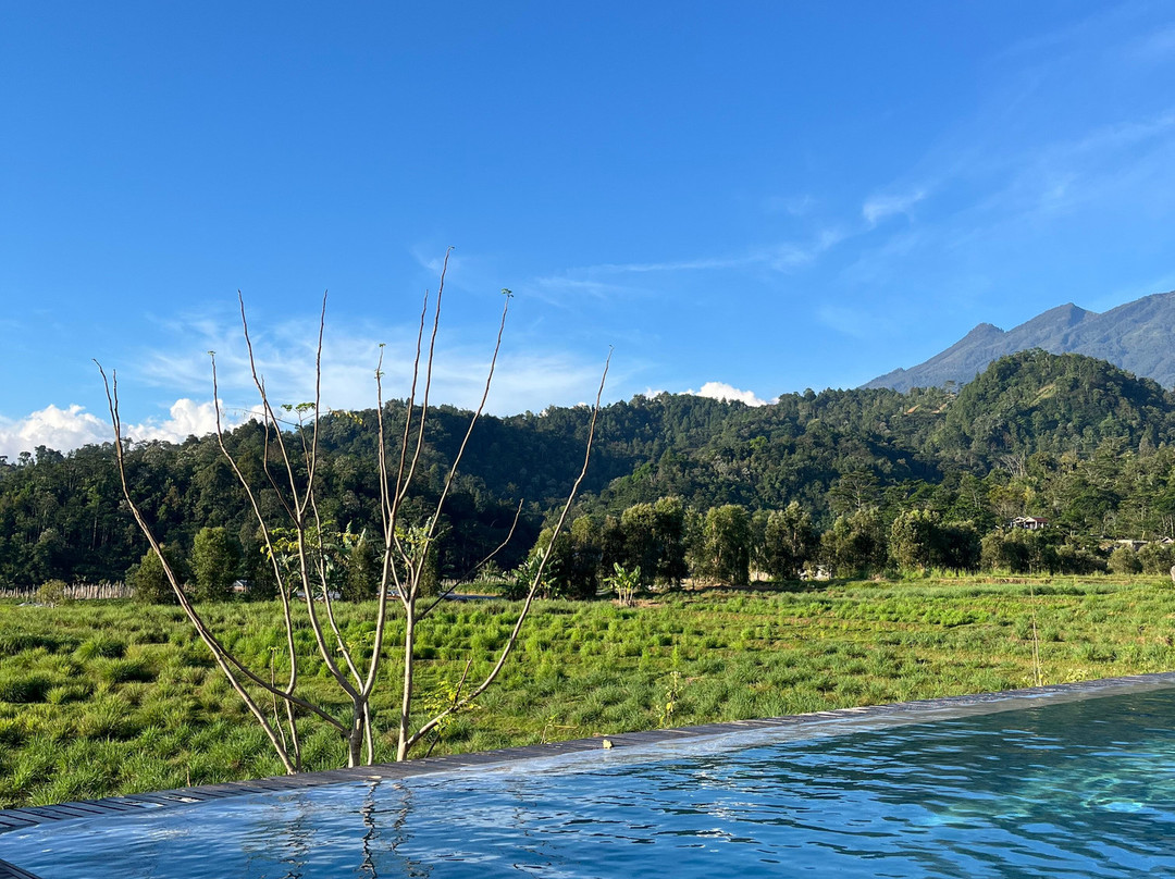 Rumah Atsiri Indonesia景点图片