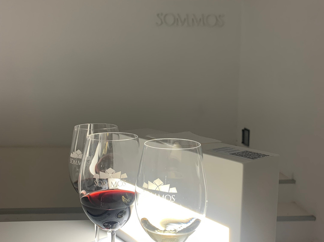 Bodega Sommos景点图片