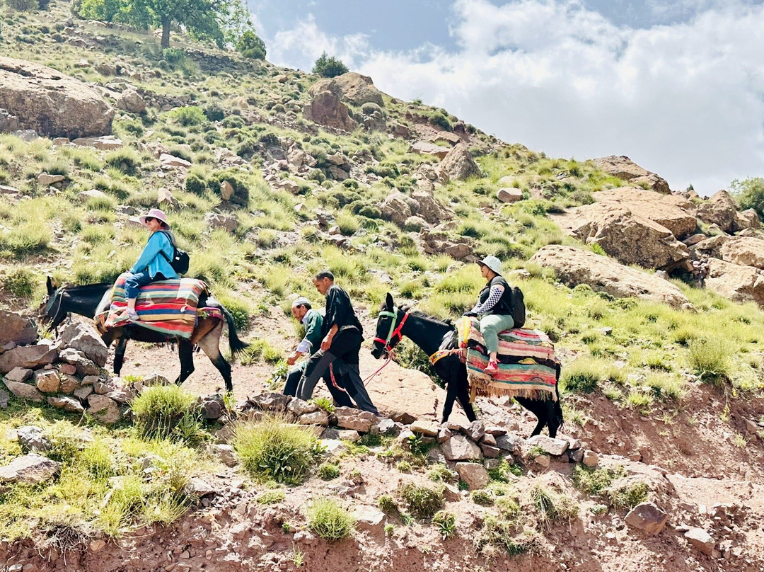 Momo Adventures-马拉喀什必去景点