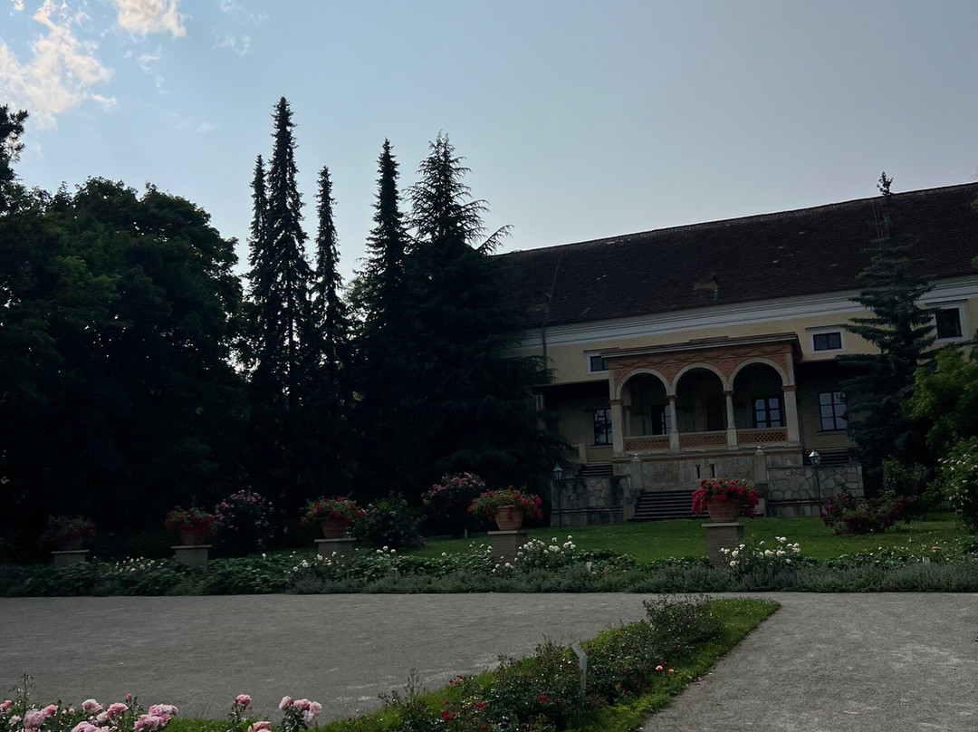 Doblhoff Park-巴敦必去景点