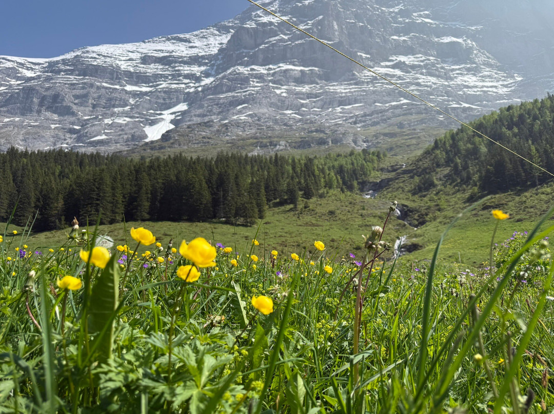 Grindelwald Walking Tours-格林德瓦必去景点
