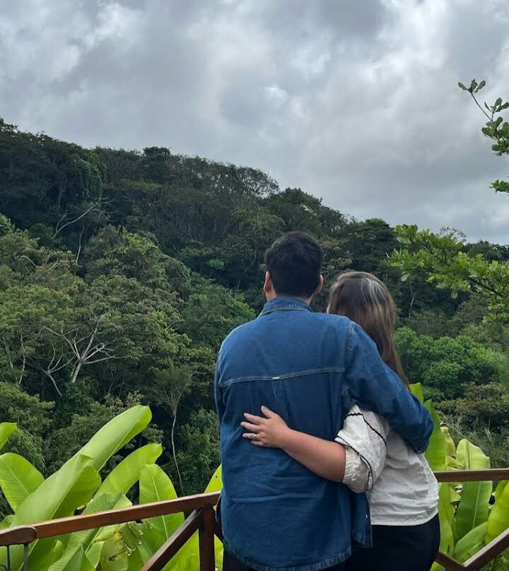 Vogel Café Colonial