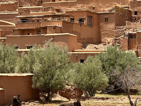 Seekers Travel Morocco-瓦尔扎扎特必去景点