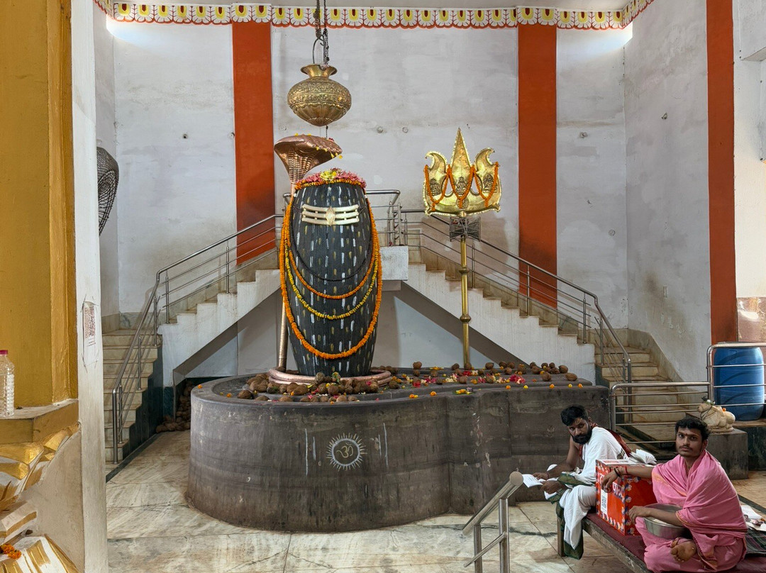 MPT Holiday Homes Amarkantak主图