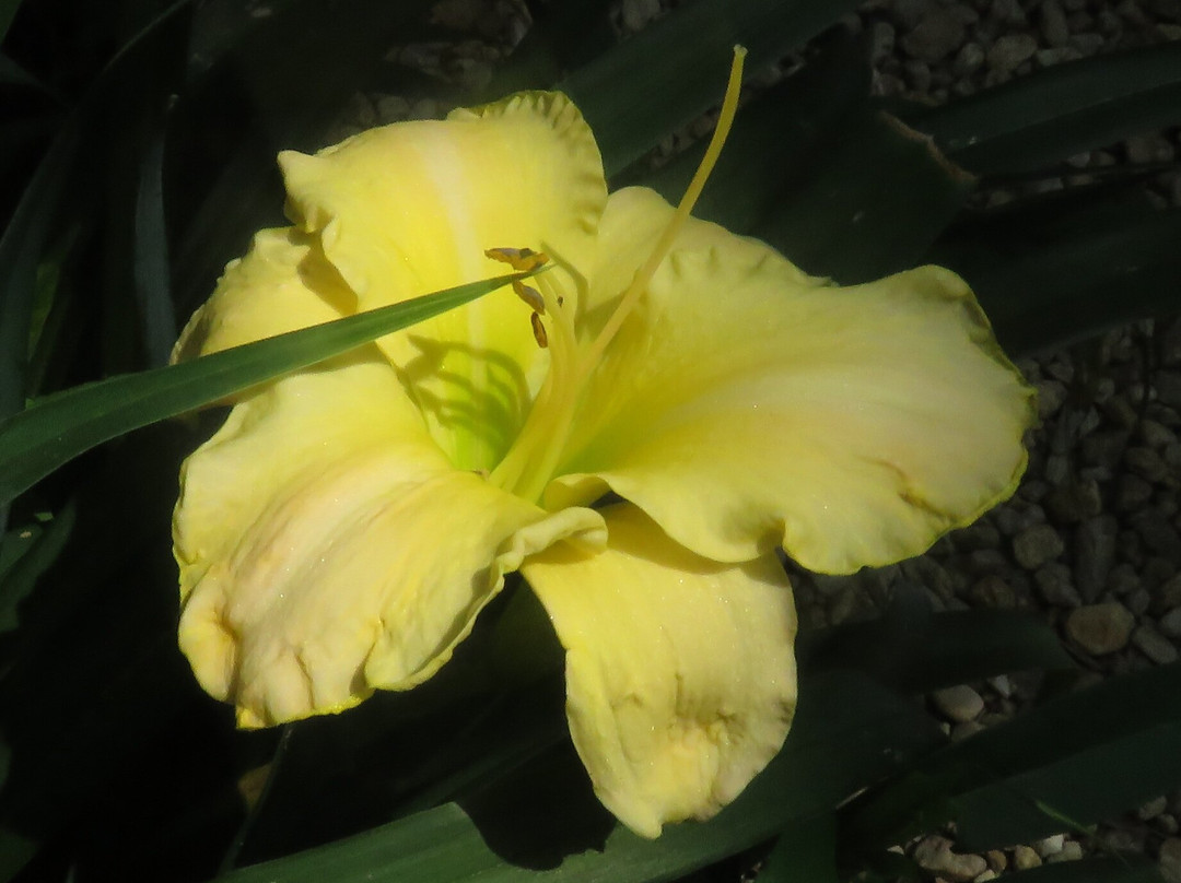 Jardin de Quercy-Varen必去景点