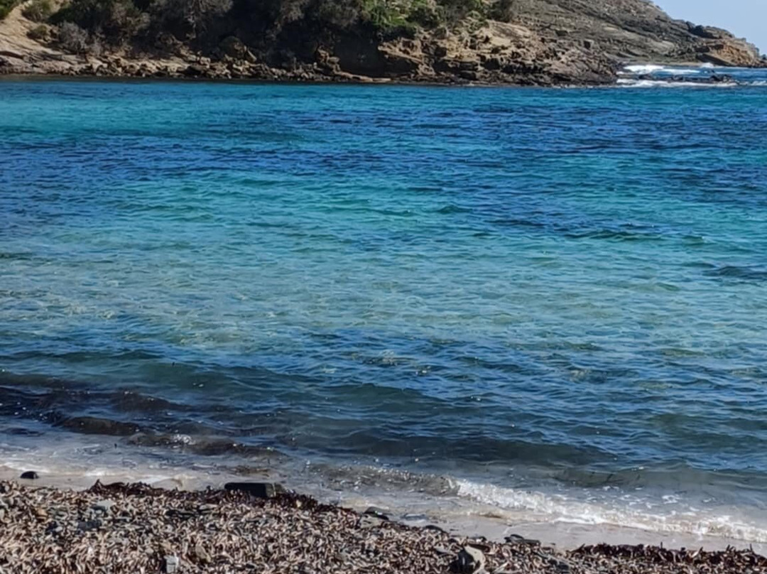 Cala Tamarells Des Sud-Es Grau必去景点