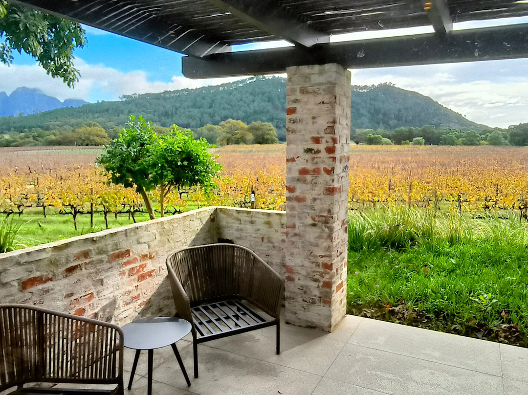 Lynx Wine-法兰舒克必去景点