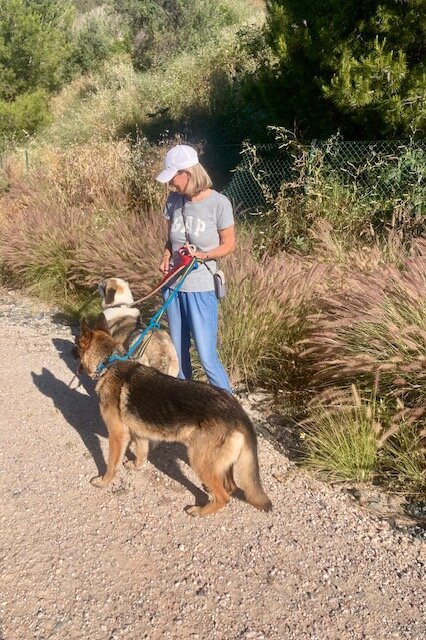 Triple A Marbella Animal Shelter-马贝拉必去景点