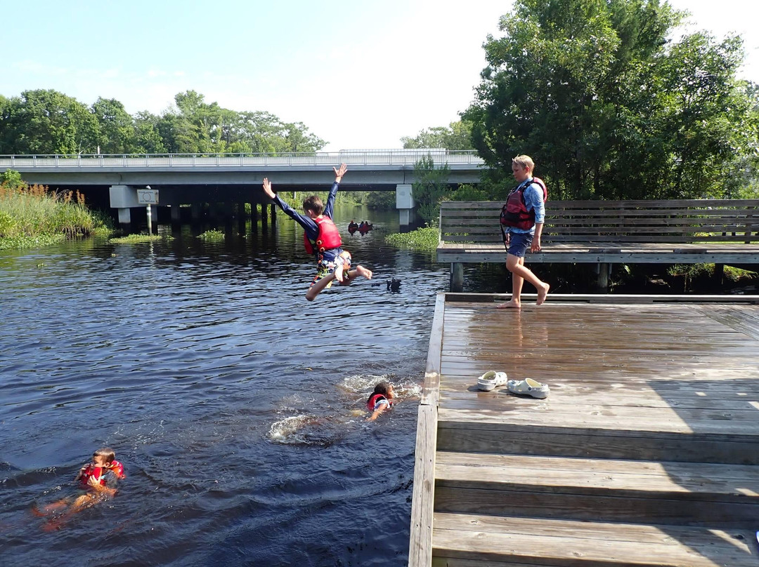 Amelia Island Kayak Excursions-费尔南迪纳岛必去景点