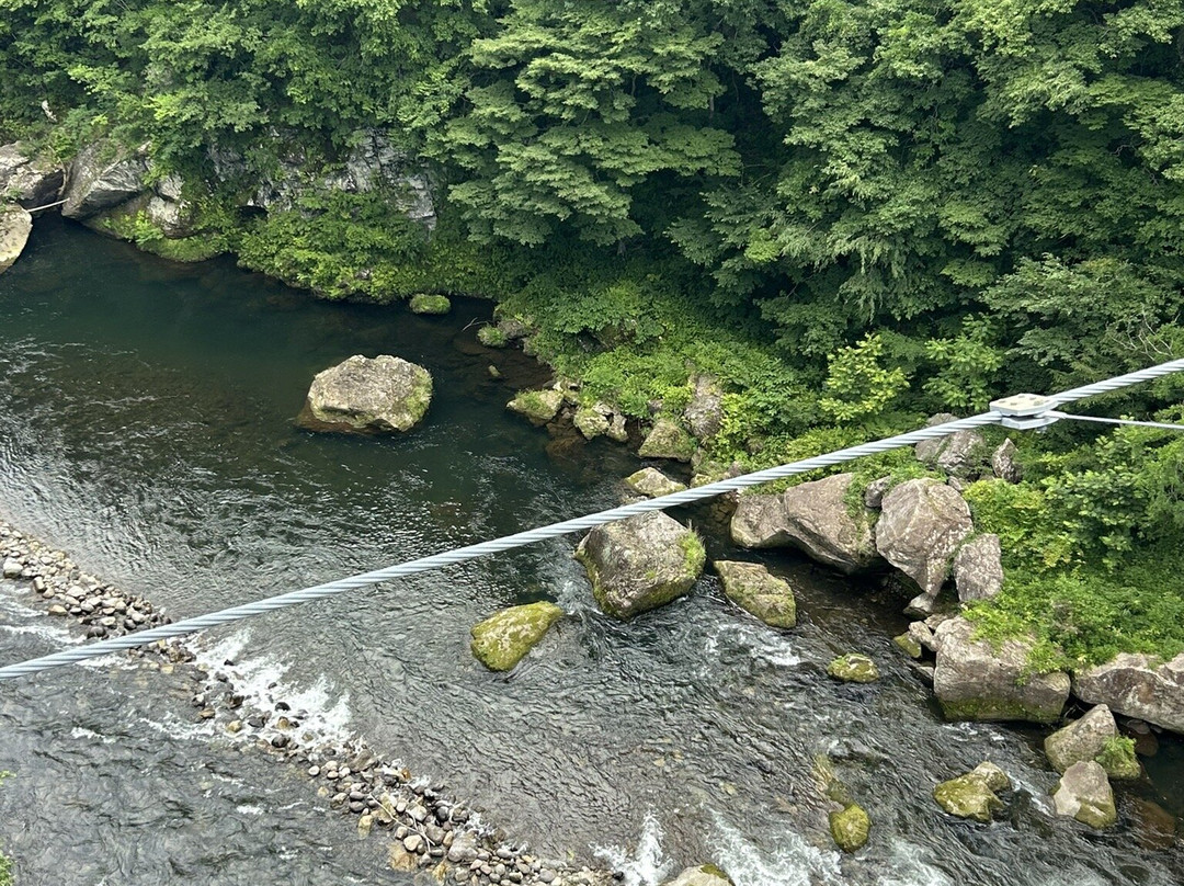Kinu Tateiwa Otsuribashi (Suspension bridge)-日光市必去景点