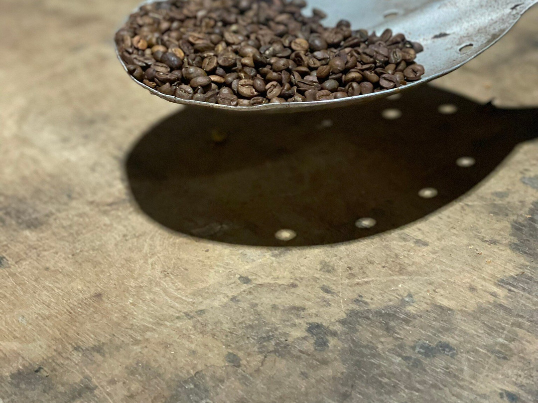 Café Don Emilio-Perez Zeledon必去景点