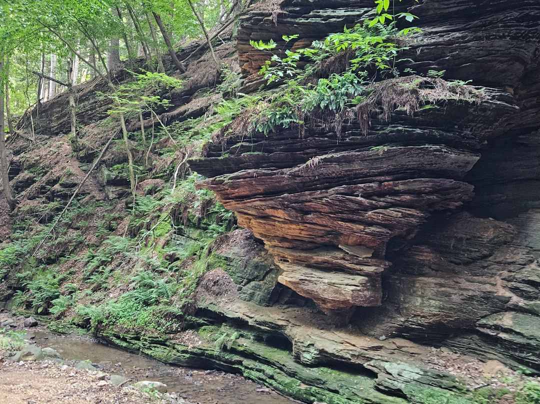 Lost Canyon Tours-威斯康星峡谷必去景点