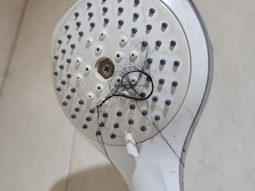 Samosir Villa Resort主图