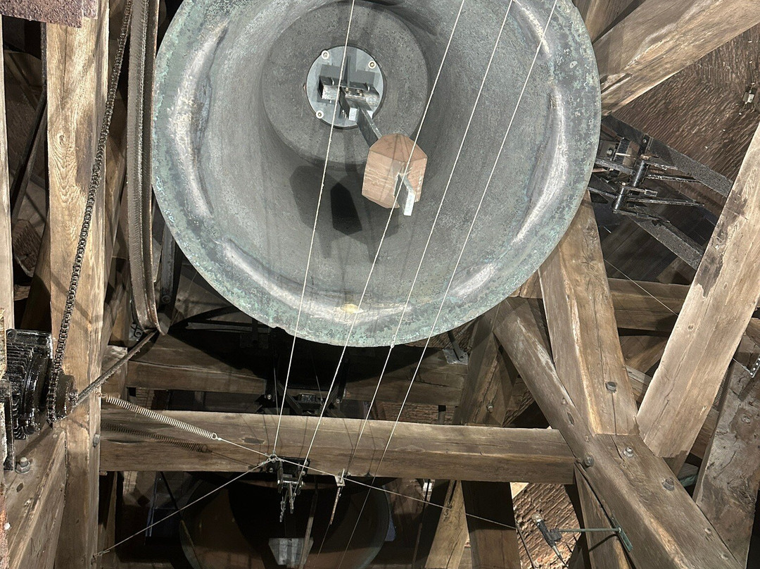 De Haagse Toren景点图片