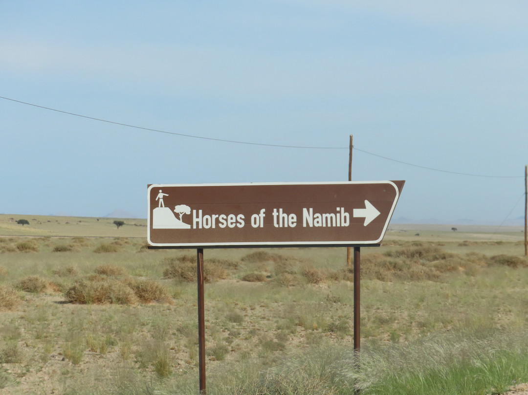 Wild Horses of Aus-Aus必去景点