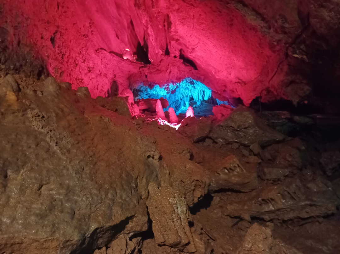 Coral Caverns-Manns Choice必去景点