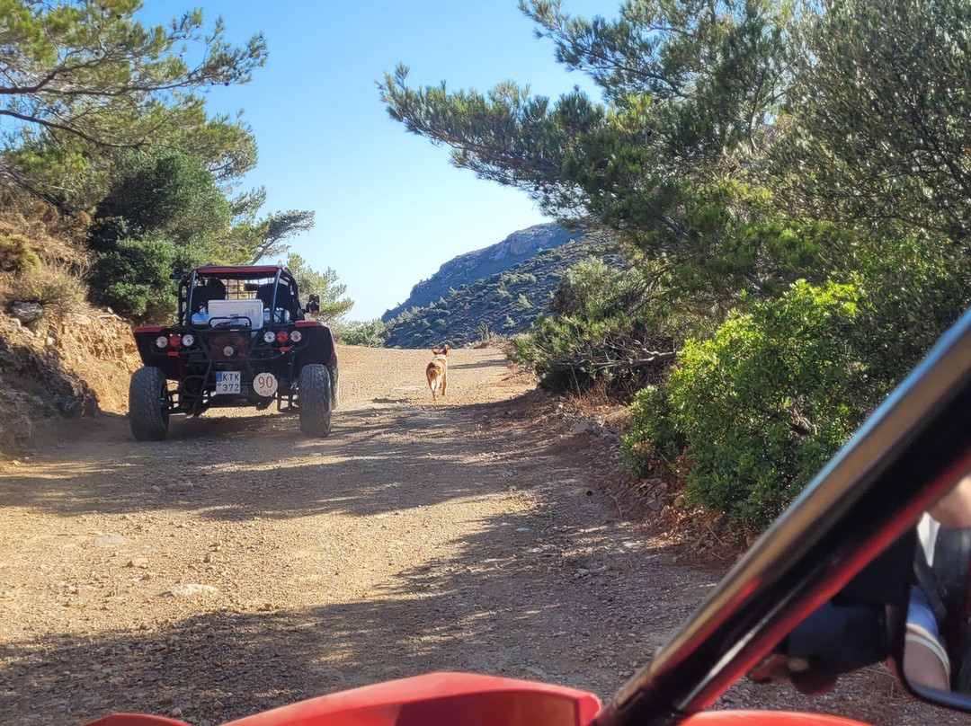 Buggy safari in Koutsouras by Rocket Adventures-Koutsouras必去景点