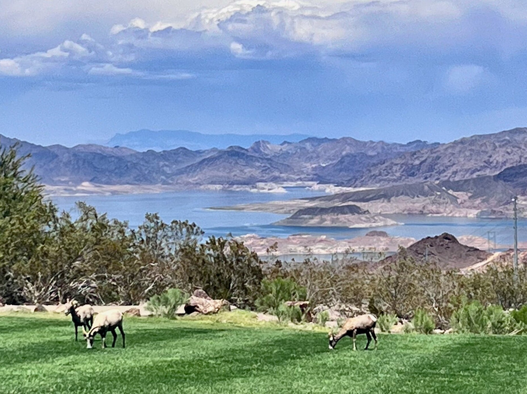 Hemenway Park-博尔德城必去景点