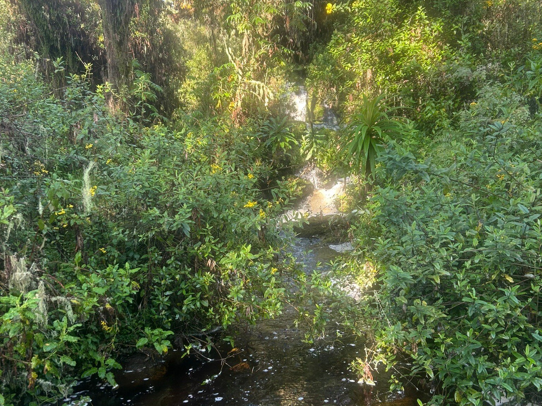 Beyond the Gorillas Experience-Ruhengeri必去景点