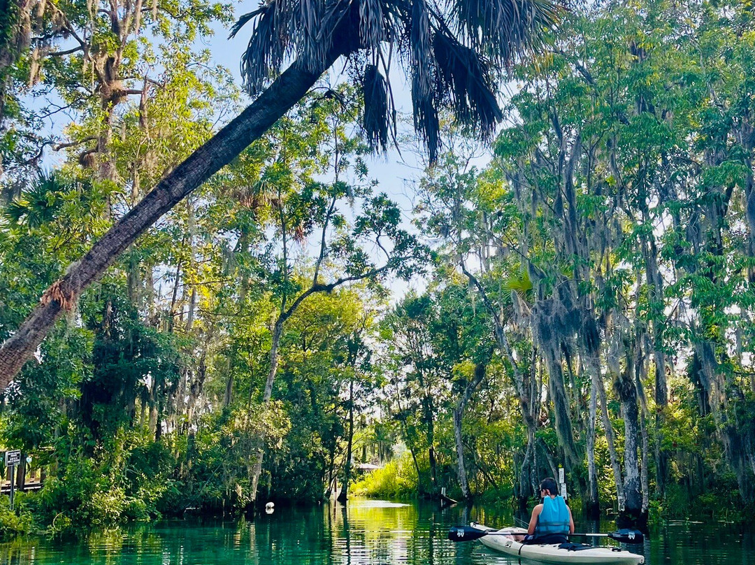 Three Sisters Springs-克里斯特尔里弗必去景点