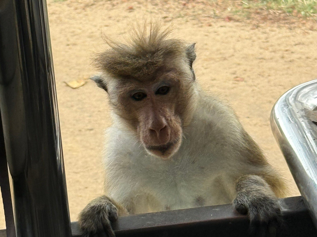 UP Travels & Tours - Excursion-唐卡拉必去景点