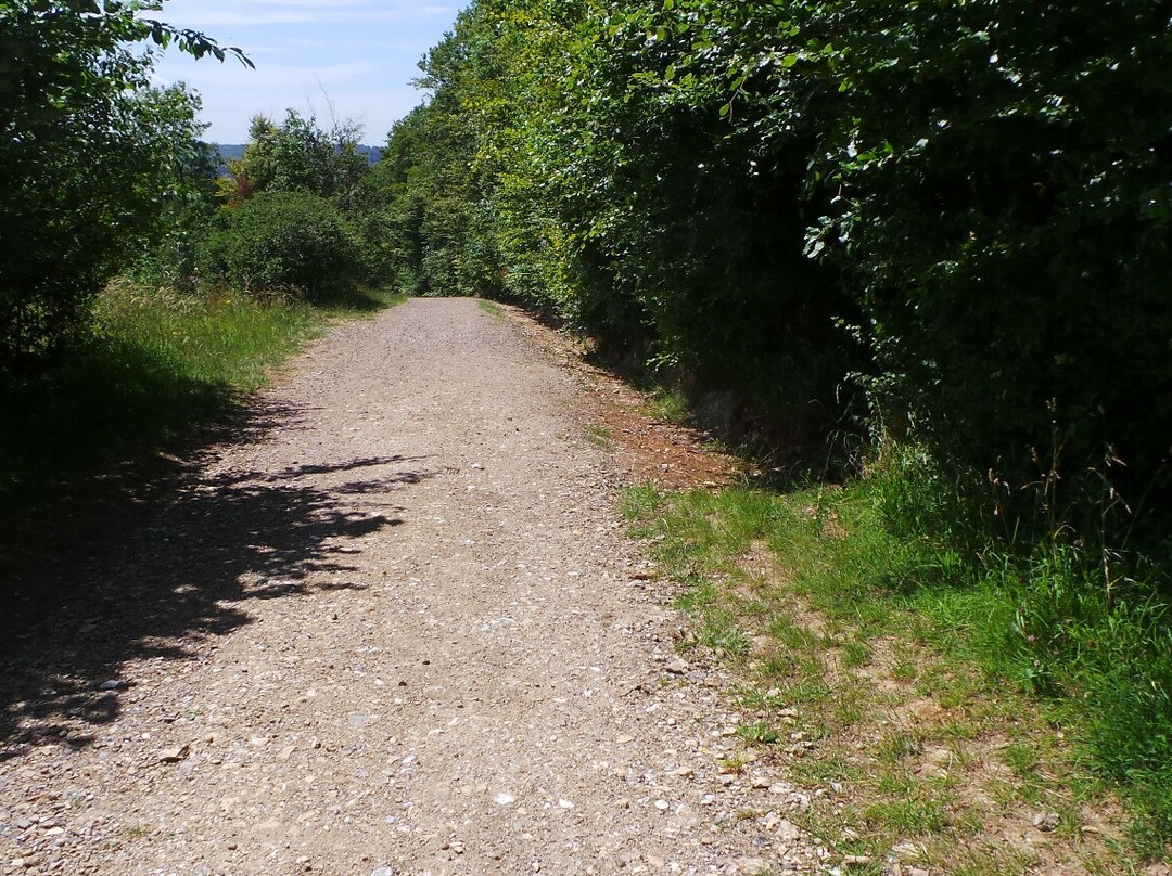 Wendover Woods-Wendover必去景点