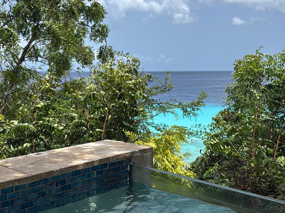 8, The Experience-Sint Willibrordus必去景点